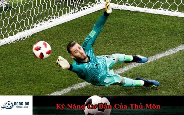 Kỹ Năng Cơ Bản Của Thủ Môn